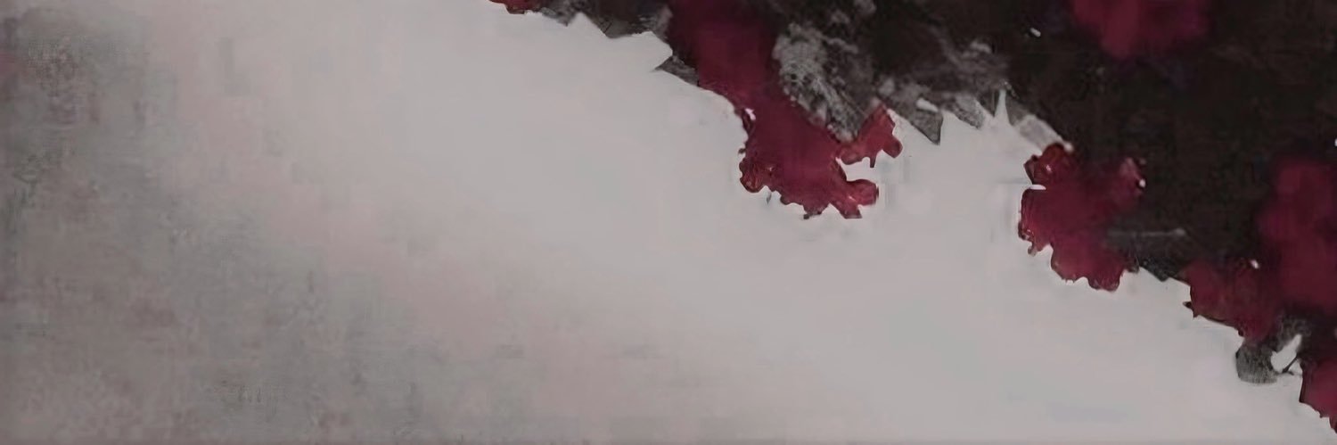 Misa 🥀's banner