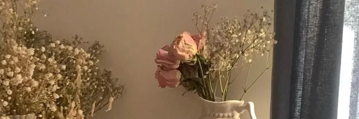 七号楼女房东🌼's banner