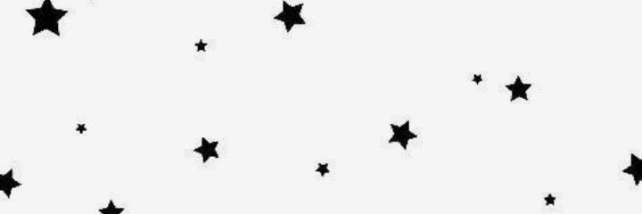 paige's banner