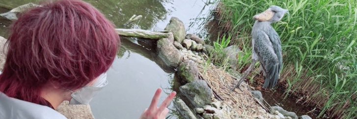 みかんじーな's banner