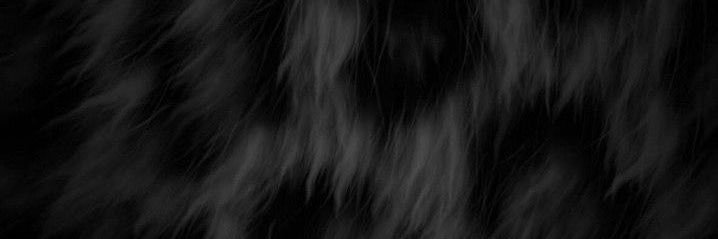 𝙗𝙧𝙮𝙖𝙣's banner