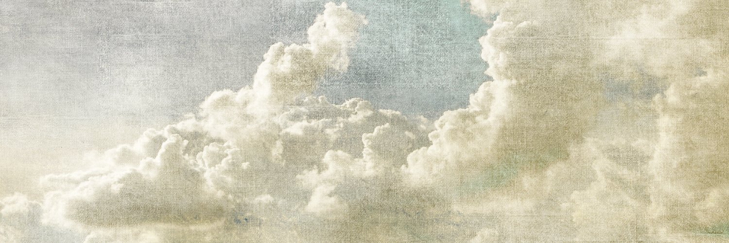 𝘳𝘰𝘴𝘦𝘭𝘺𝘯 𝘦𝘭𝘭𝘢𝘳𝘪𝘴𝘩𝘦🏳️‍⚧️🦄🪽⭐️🌙's banner