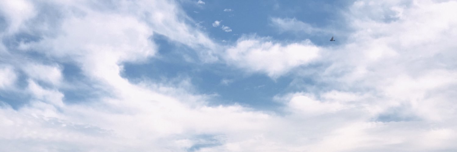 yoyo's banner