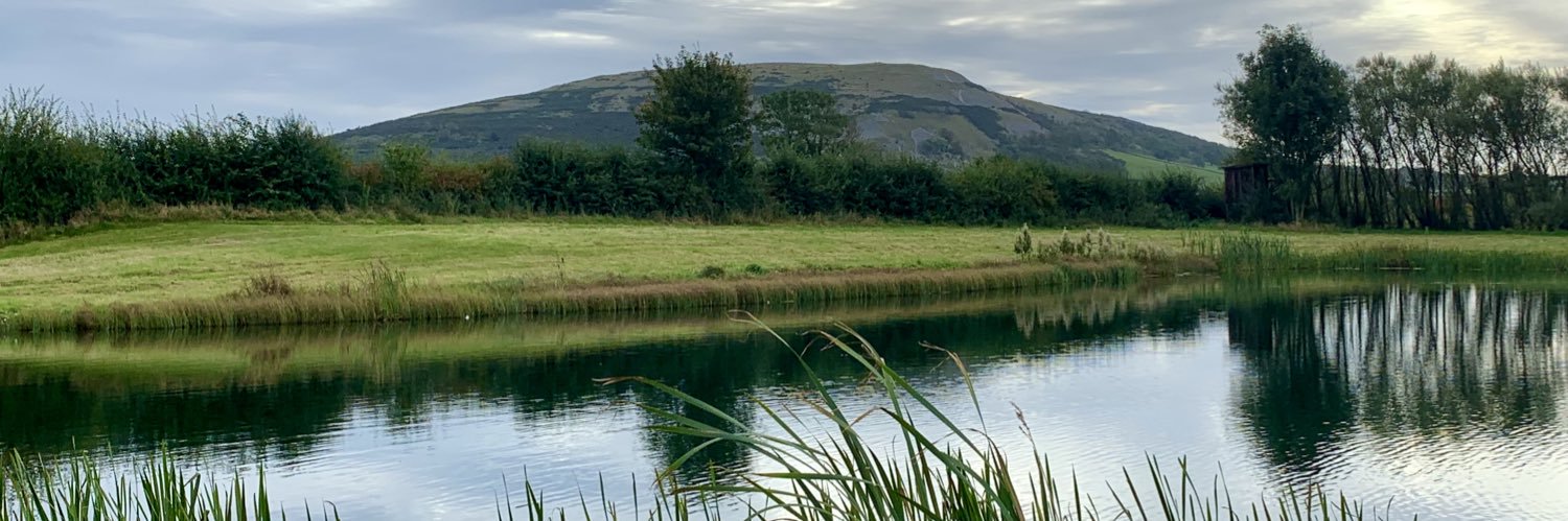 Angela Brady's banner