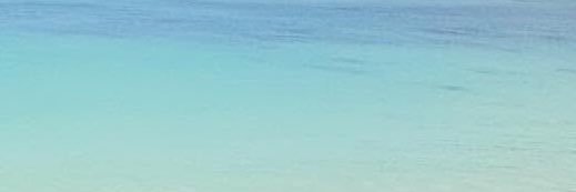 서리콩's banner