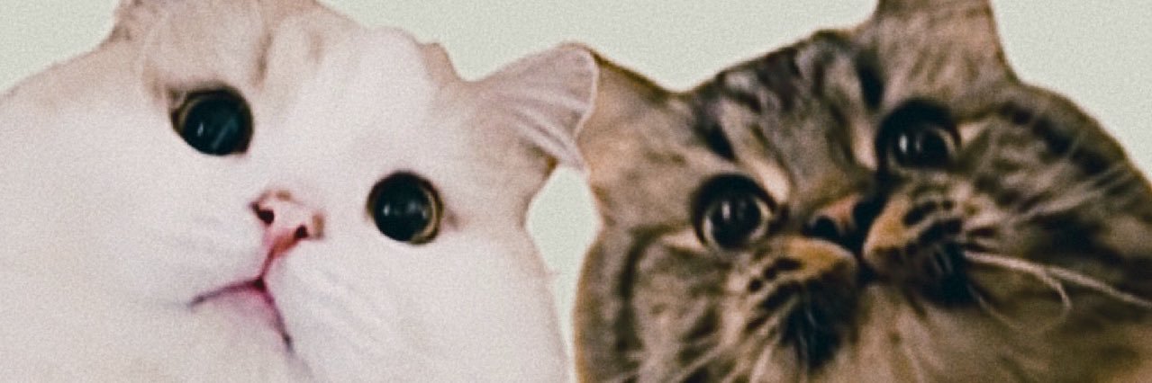 ぽてね's banner