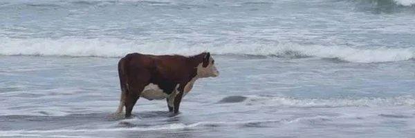 жить тяжело и неуютно's banner