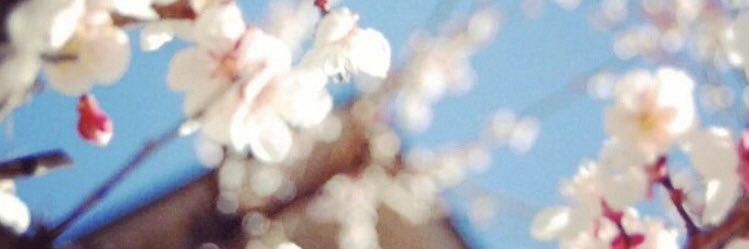 あさみ(人妻)'s banner