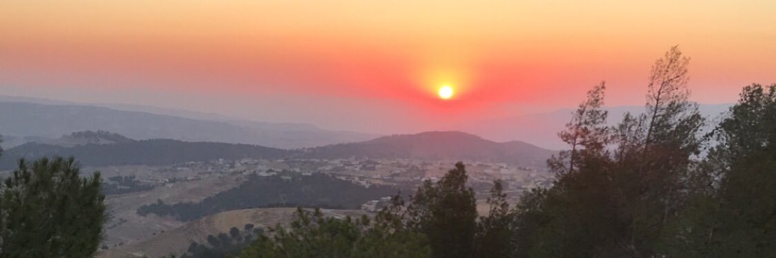 nadia (نادية )'s banner