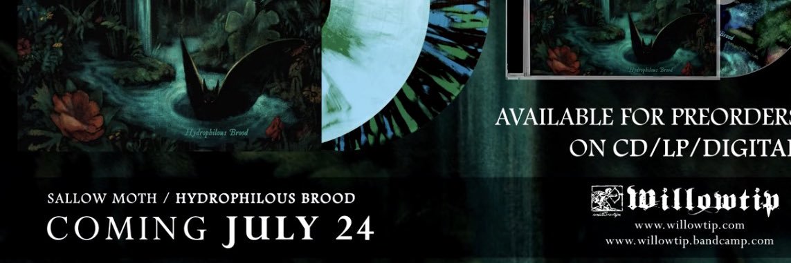Garry B. (SALLOW MOTH/LUREPLASM)'s banner