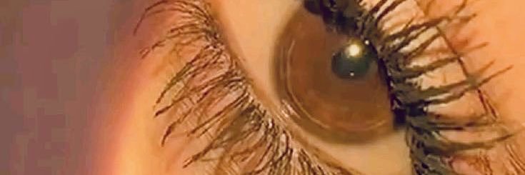 's banner