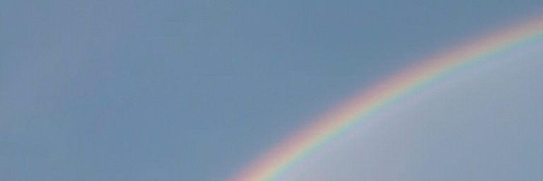 ʀօƈɨօ's banner