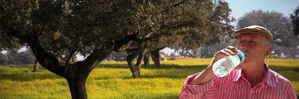 Repúbrica d'Estremaúra 🇦🇪's banner