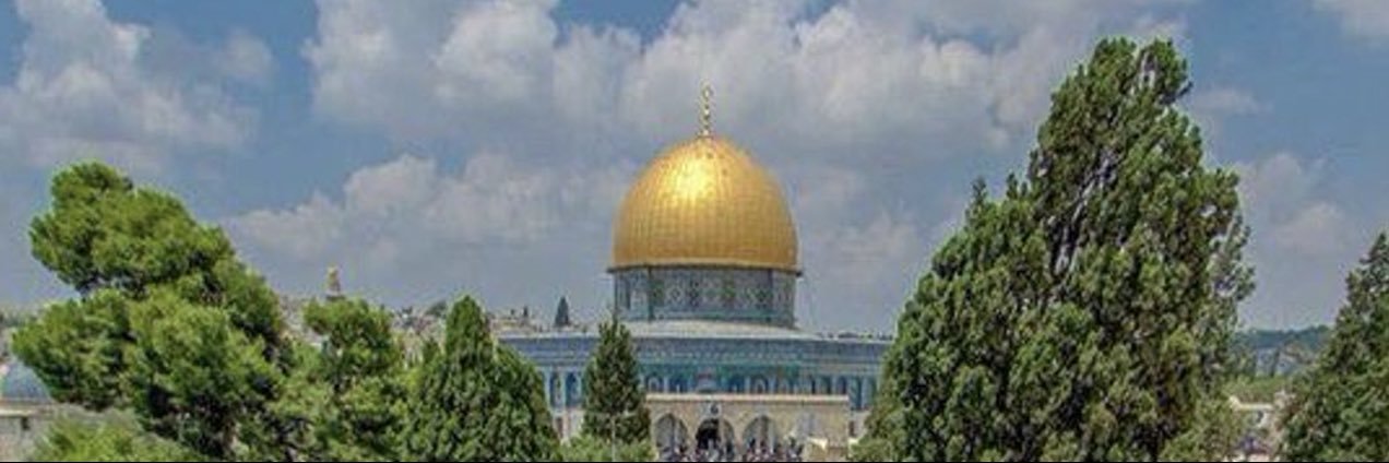 محسن بن طماح's banner