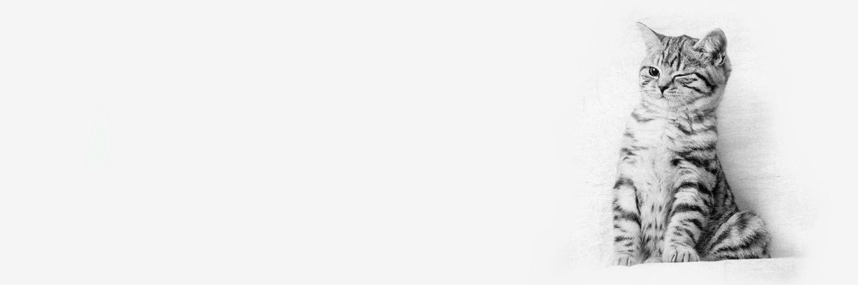 Cá's banner