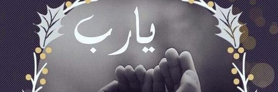 يحيى مقافي's banner