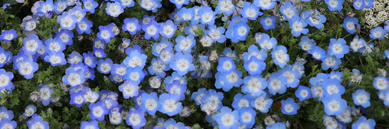 前野えま (まえのえま)'s banner