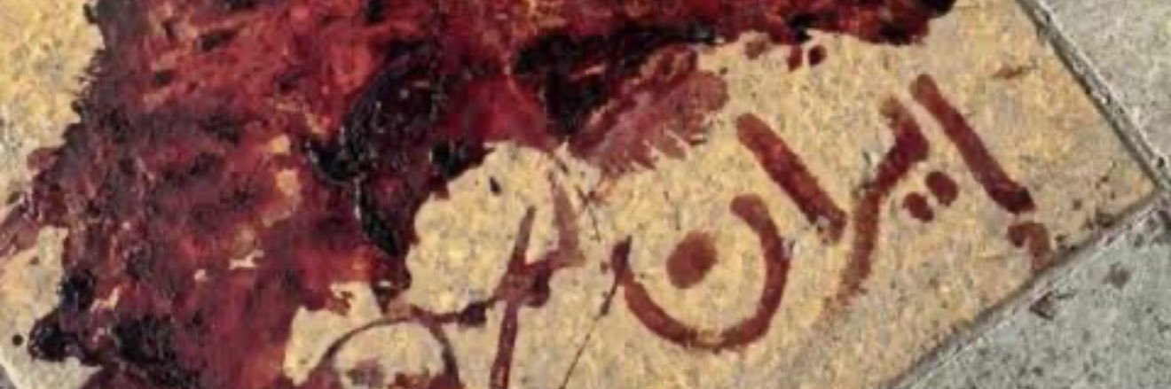 Nima Avidnia's banner