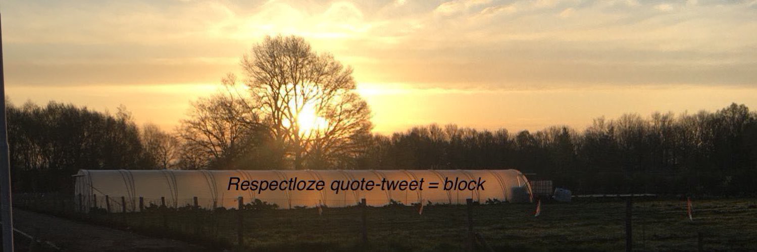 Susanne's banner