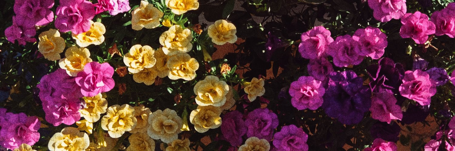 ellaa91's banner