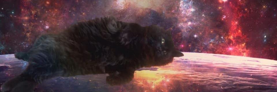 MichaelBePetty's banner