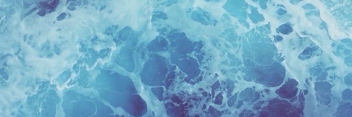 v ❀'s banner