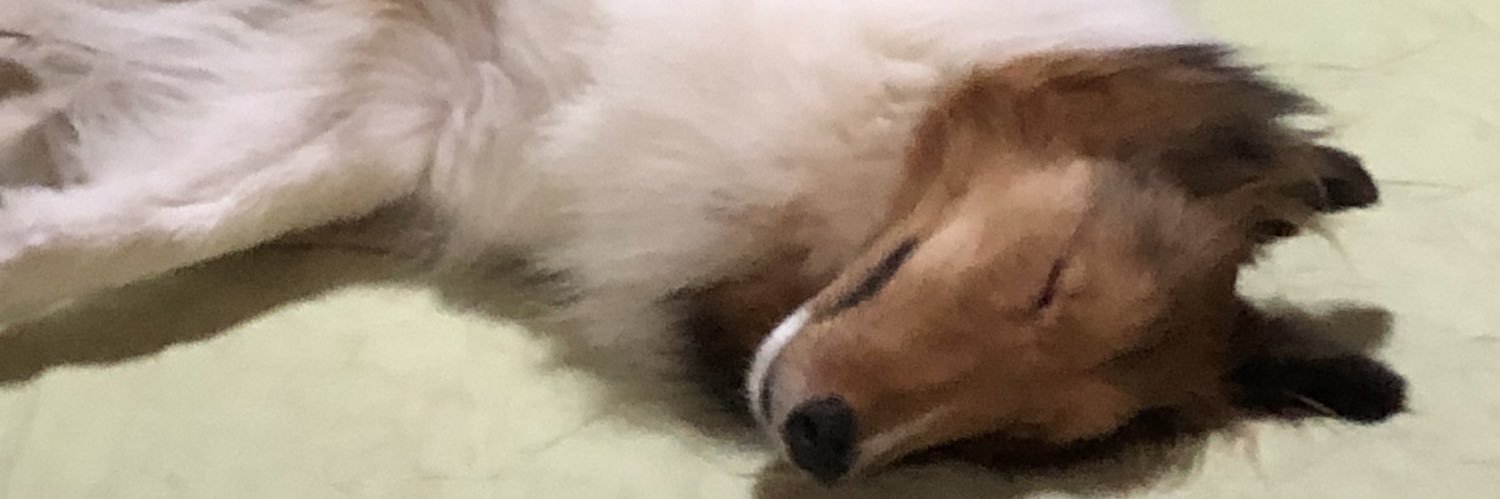 らいとくん's banner