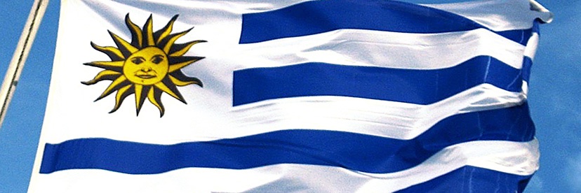 Sebastián el Facho's banner
