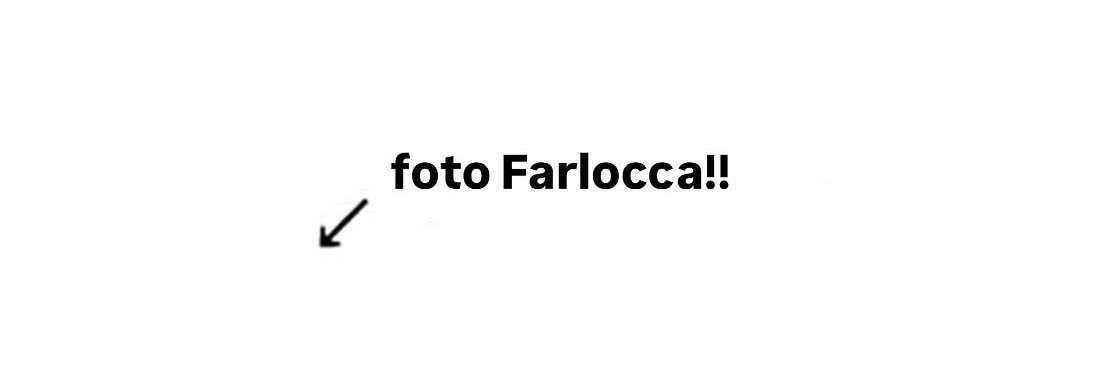 account bollito's banner