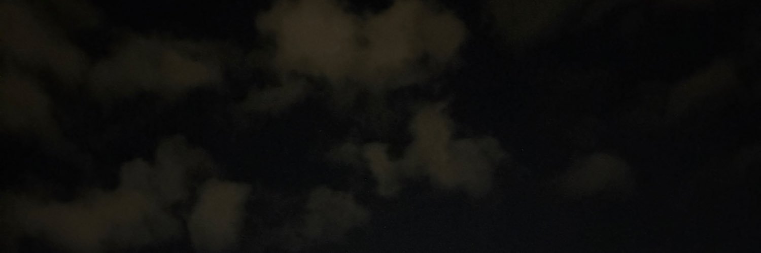 duskie ✨'s banner