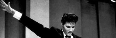 ElvisRose's banner