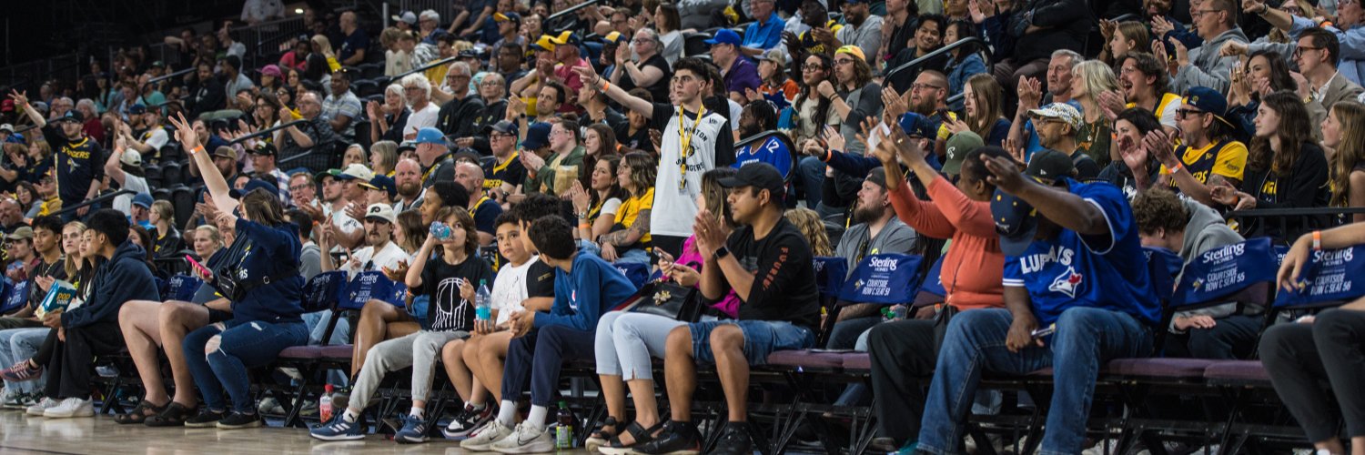 Edmonton Stingers's banner