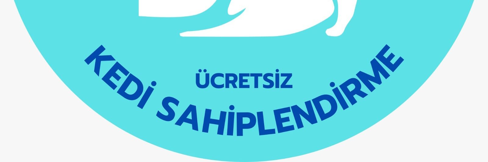 Yüksel Bayram's banner