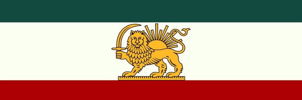 Sara Peymanpour's banner