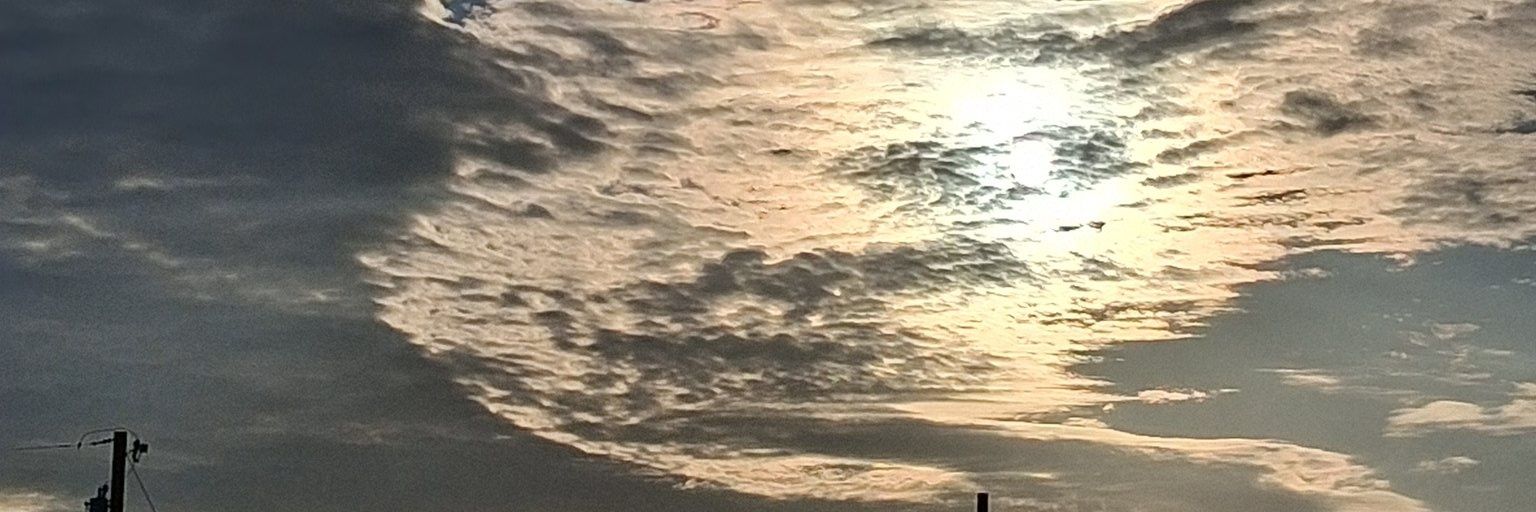 Linda50🌻's banner