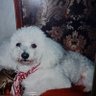 tymi 47 profil fotoğrafı
