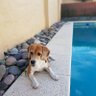 Sebastiántstenedor profil fotoğrafı