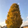 エン さん 的头像