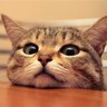 wei's profile picture