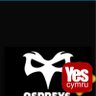 #FBIW Welsh Rugby Mad dragon 🐲 的头像