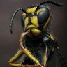 Mocozaldo profil fotoğrafı