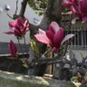 tenoh27 的头像