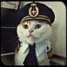 gato de gravata's profile picture