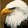 American!! profil fotoğrafı