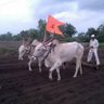 Фото профиля Keshav