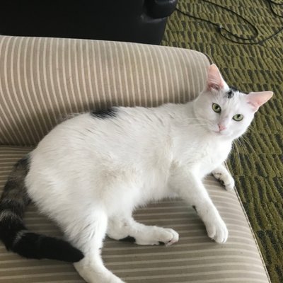 EMMREPORT's profile picture