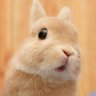 政吉🥷人を喜ばせる運命の家庭教師 profil fotoğrafı
