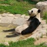 Tak DDS 的头像