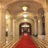 Profilbild von بو عبدالله النيادي