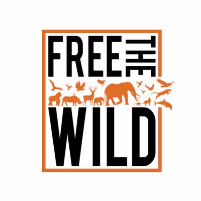 ftwglobal's profile picture
